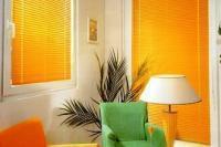 Жалюзи горизонтальные Venus