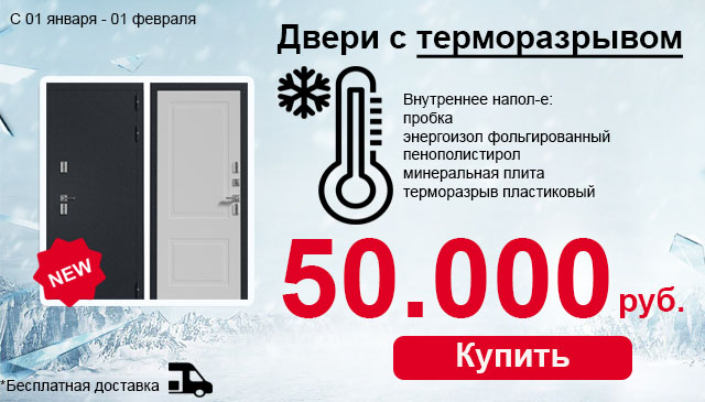 Дверь входная с терморазрывом ВМ-100 в январе